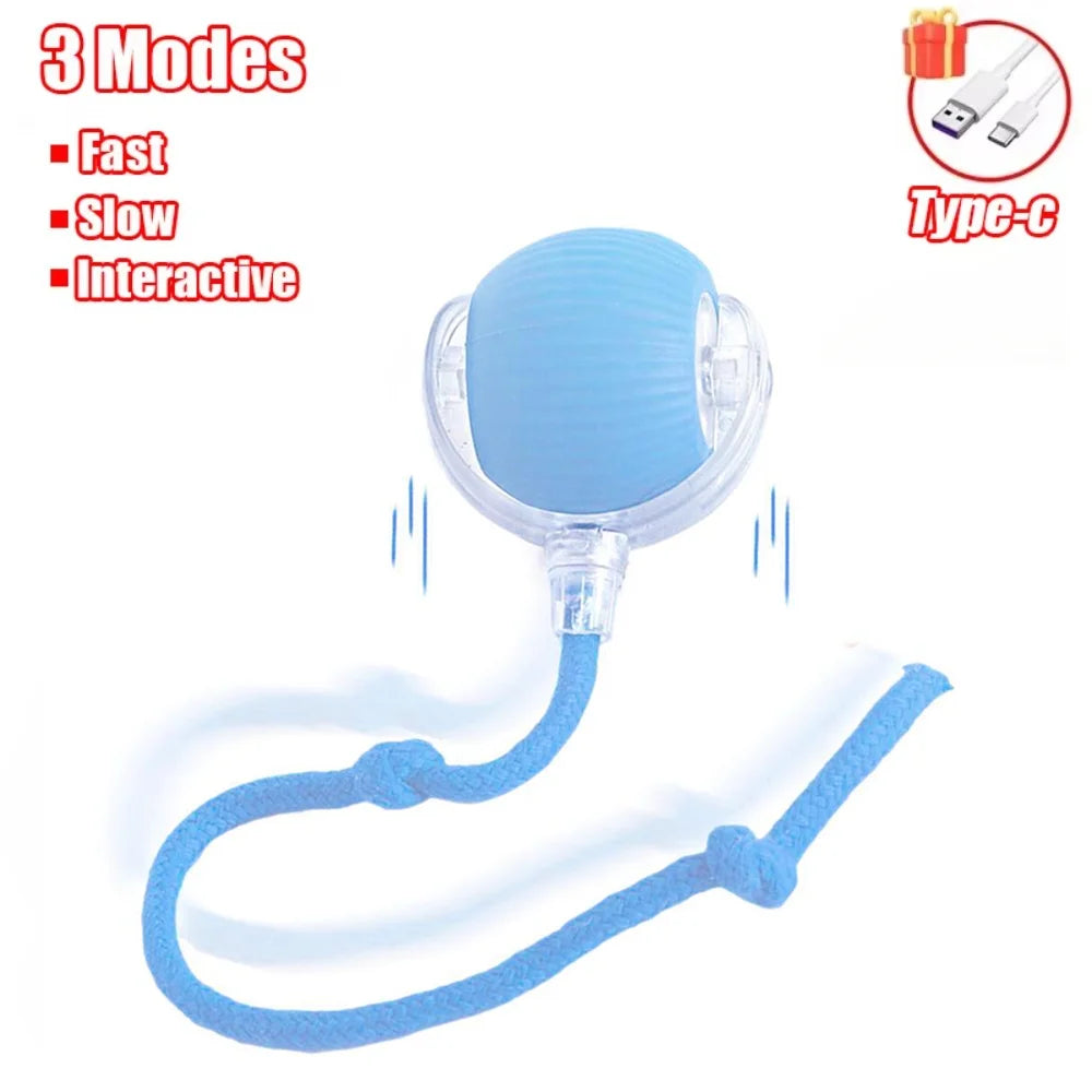 Smart Rechargeable Cat Toy Ball with Moving Tail and Auto Rolling