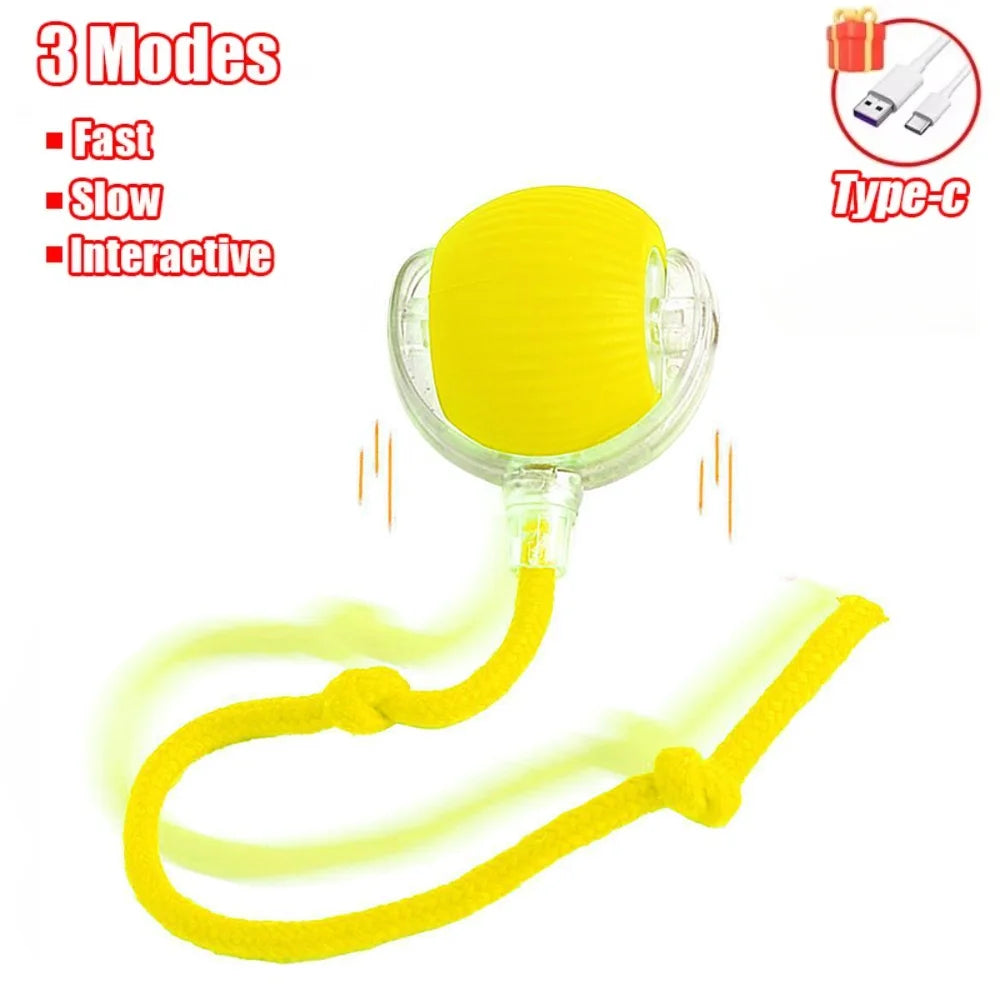 Smart Rechargeable Cat Toy Ball with Moving Tail and Auto Rolling