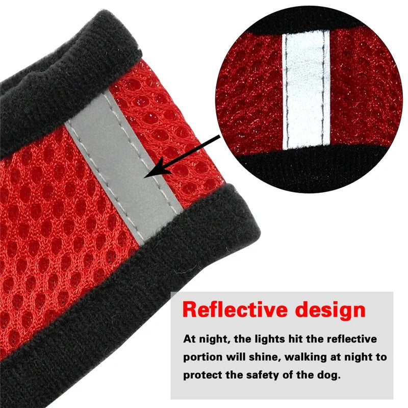 Adjustable Mesh Pet Harness & Leash Set for Small Dogs & Cats
