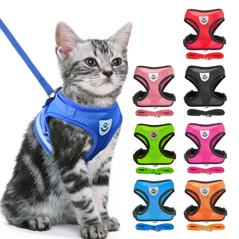 Adjustable Mesh Pet Harness & Leash Set for Small Dogs & Cats