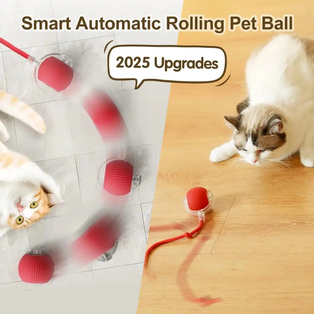 Smart Rechargeable Cat Toy Ball with Moving Tail and Auto Rolling