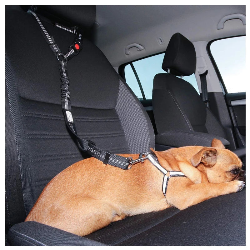 2-in-1 Dog Harness & Leash with Car Seat Belt