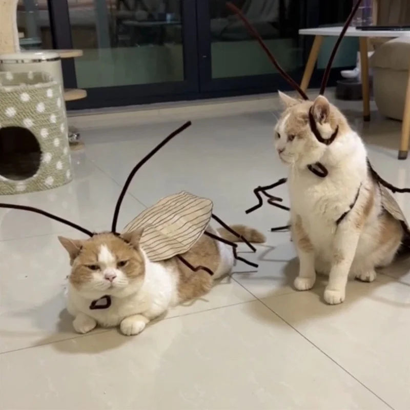 Funny Cat Cosplay Cockroach Costume DIY Handmade Pet Outfit Prop