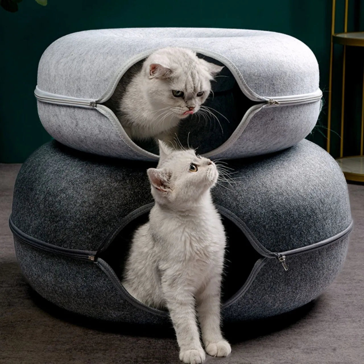 Cozy Donut Cat Bed & Interactive Tunnel - Indoor Pet Toy