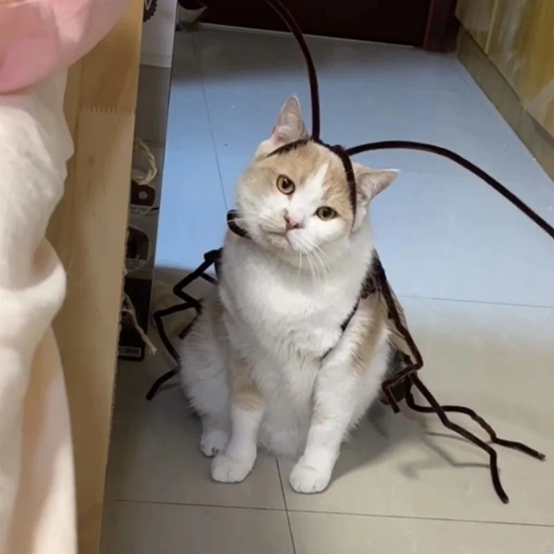 Funny Cat Cosplay Cockroach Costume DIY Handmade Pet Outfit Prop