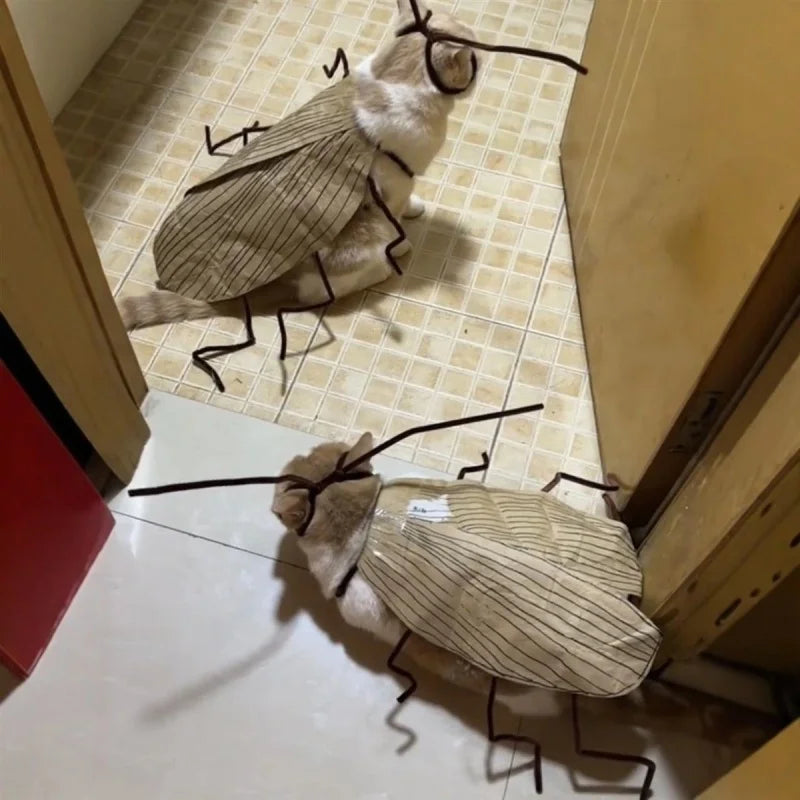 Funny Cat Cosplay Cockroach Costume DIY Handmade Pet Outfit Prop