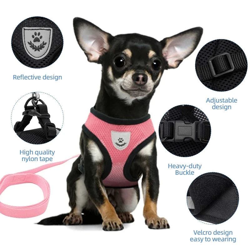 Adjustable Mesh Pet Harness & Leash Set for Small Dogs & Cats
