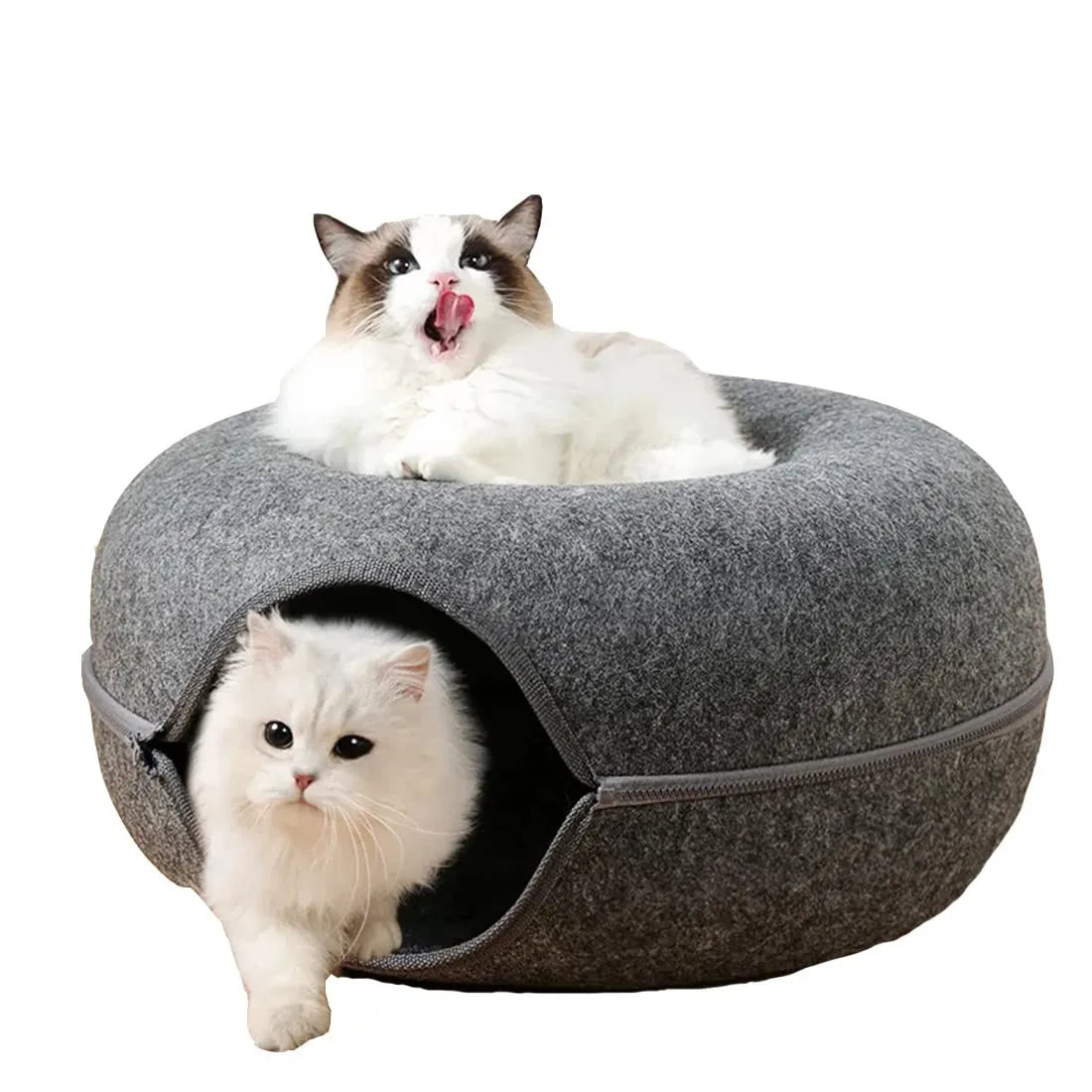 Cozy Donut Cat Bed & Interactive Tunnel - Indoor Pet Toy
