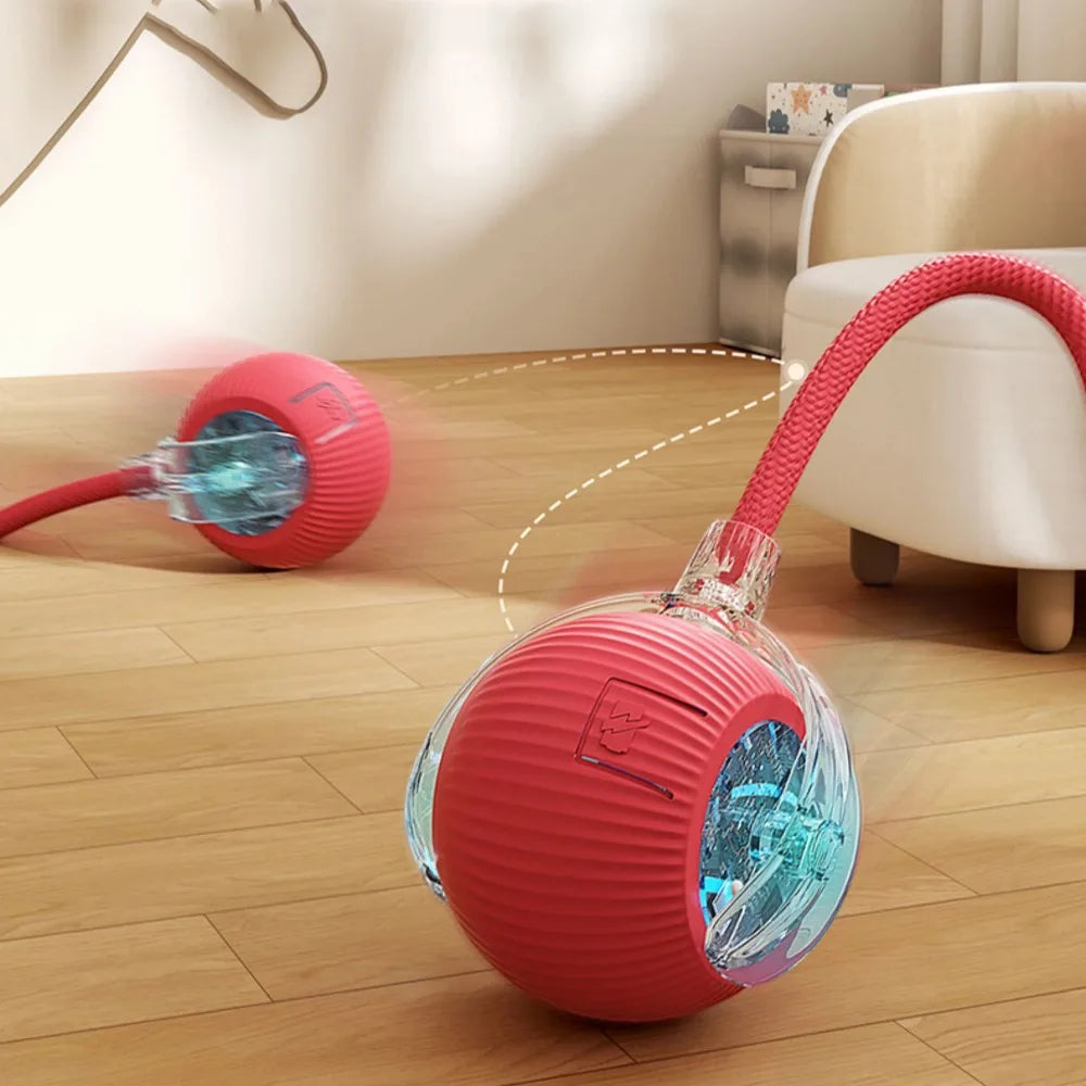 Smart Rechargeable Cat Toy Ball with Moving Tail and Auto Rolling