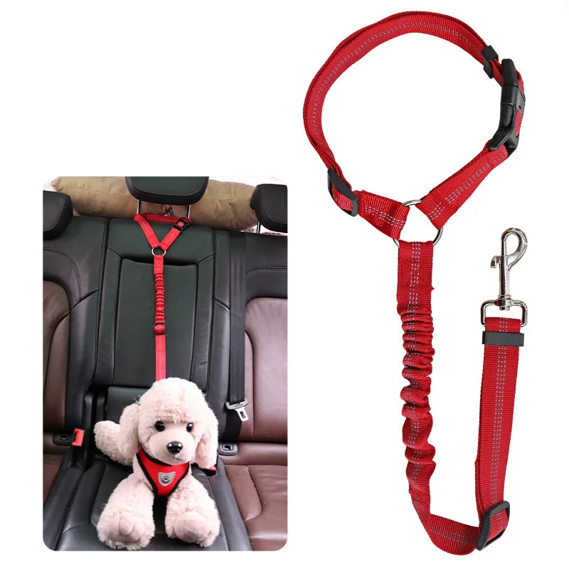 2-in-1 Dog Harness & Leash with Car Seat Belt