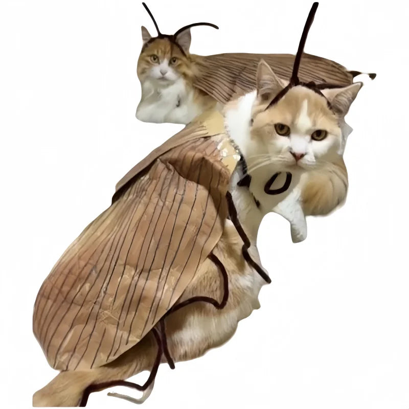 Funny Cat Cosplay Cockroach Costume DIY Handmade Pet Outfit Prop
