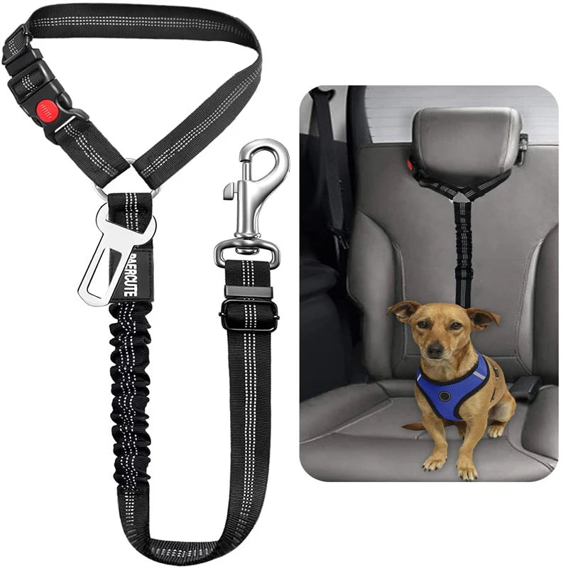 2-in-1 Dog Harness & Leash with Car Seat Belt