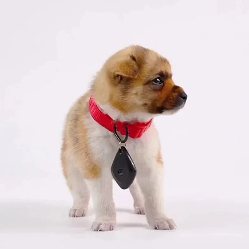 Ultrasonic Mini Mosquito Repellent – USB Rechargeable Pet Collar Bug Repeller