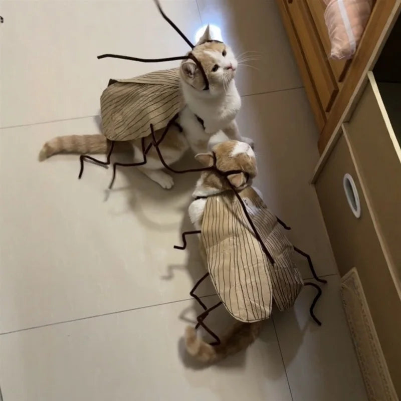 Funny Cat Cosplay Cockroach Costume DIY Handmade Pet Outfit Prop