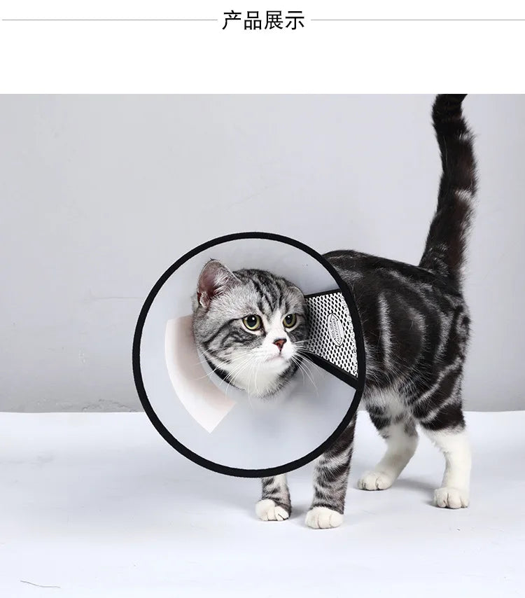 Pet Recovery Collar - Anti-Bite Protective Cone for Cats & Dogs