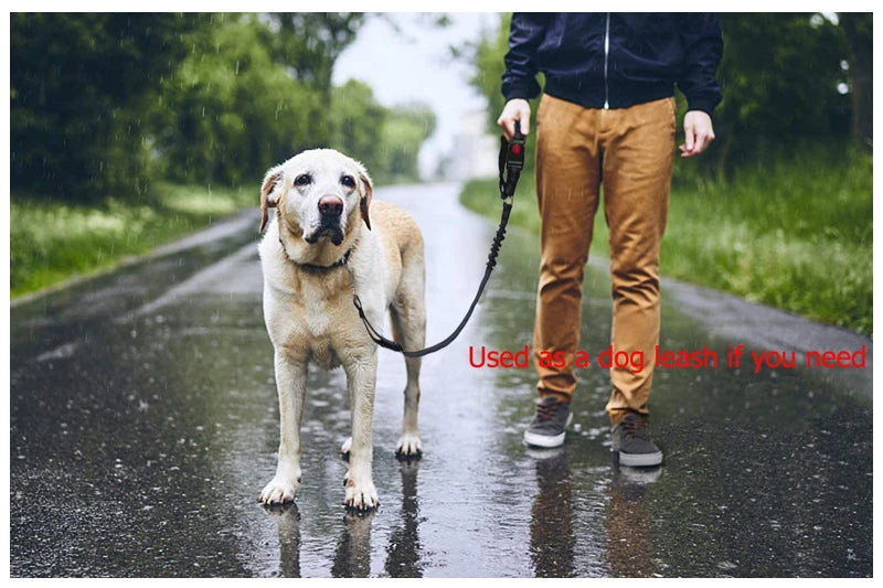 2-in-1 Dog Harness & Leash with Car Seat Belt